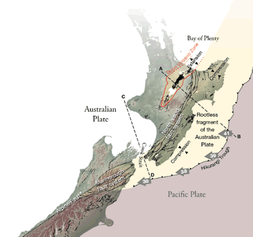 New Zealand's Fault Lines